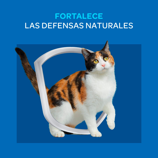 Purina Cat Chow Adultos Delimix Con Defense Plus 8Kg