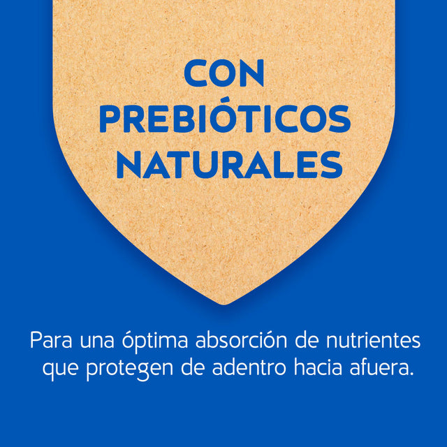 Purina Cat Chow Adultos Delimix Con Defense Plus 8Kg