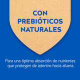 Purina Cat Chow Adultos Delimix Con Defense Plus 1Kg