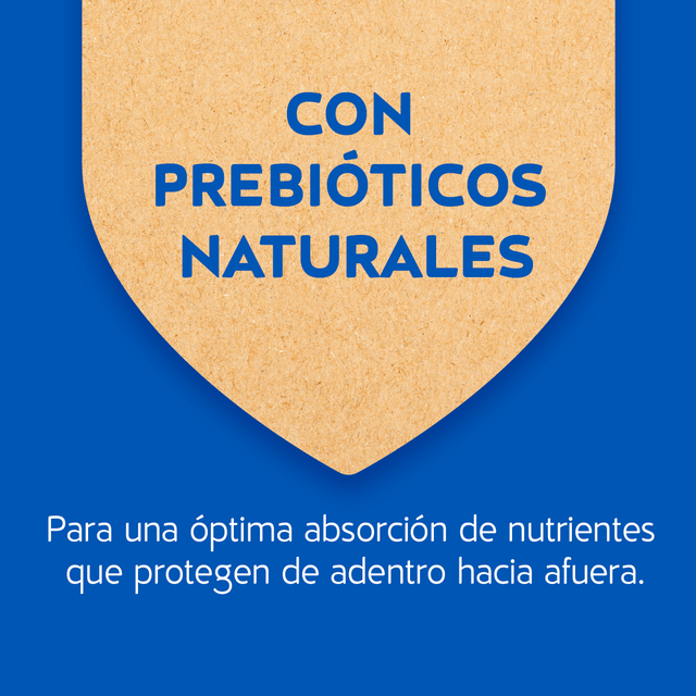 Purina Cat Chow Adultos Esterilizados Con Defense Plus 24Kg