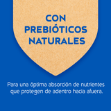 Purina Cat Chow Adultos Esterilizados Con Defense Plus 8Kg