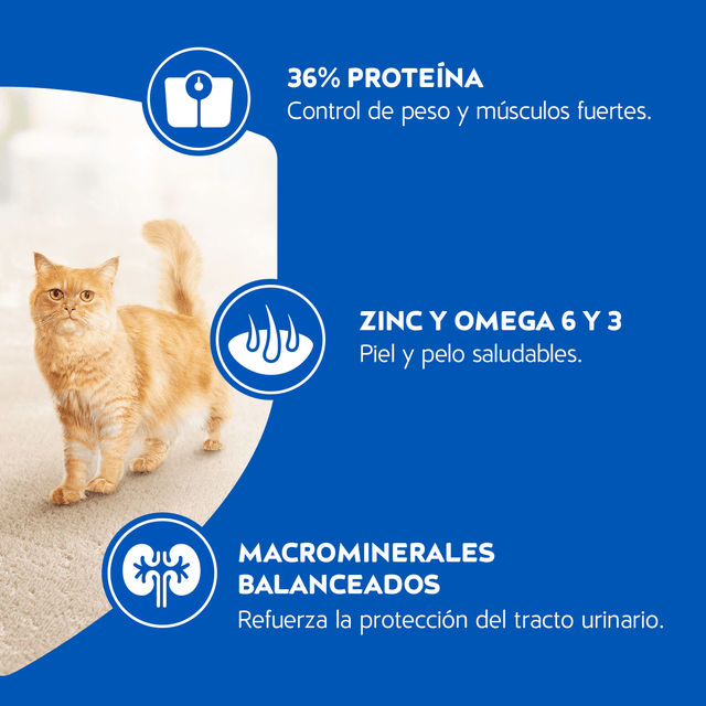 Purina Cat Chow Adultos Esterilizados Con Defense Plus 24Kg