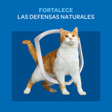 Purina Cat Chow Adultos Pescado Con Defense Plus 8Kg