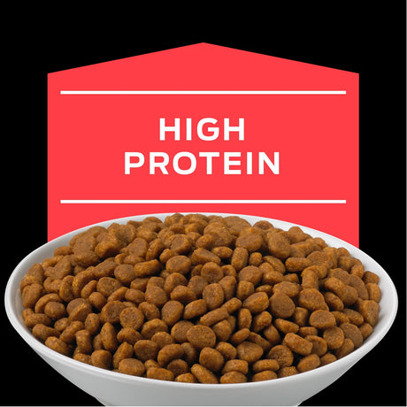 Purina Pro Plan Dm Diabetes Felino 1 5Kg
