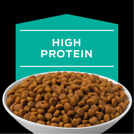 Purina Pro Plan En Gastroenteric Felino 1 5Kg