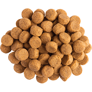 Alimento para Perros Purina Pro Plan Jm Joint Mobility Canino 2Kg