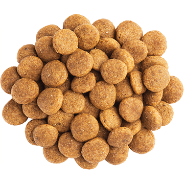 Alimento para Perros Purina Pro Plan Nc Neuro Care Canino 2Kg