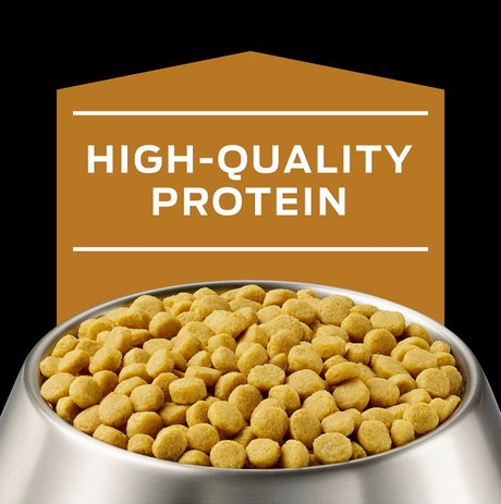 Purina Pro Plan Nf Kidney Function Canino 2Kg
