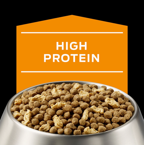 Alimento para Perros Purina Pro Plan Om Overweight Management Canino 2Kg