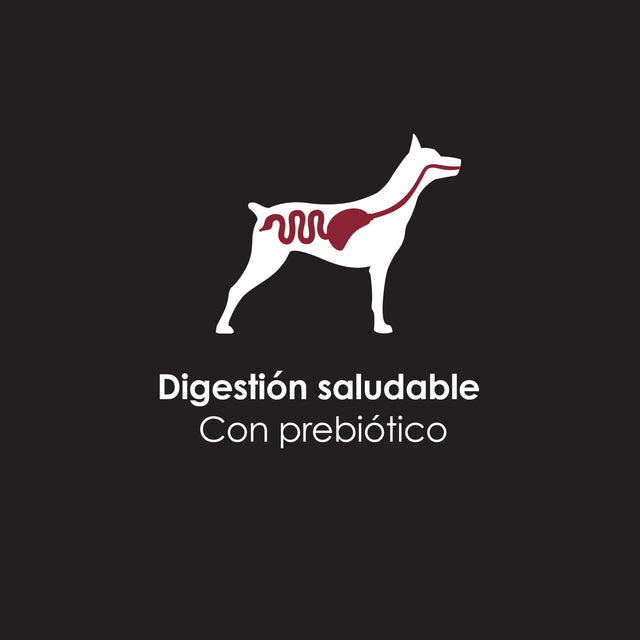 Purina Pro Plan Perro Adulto Lata 368 5Gr Pack 5 Unidades