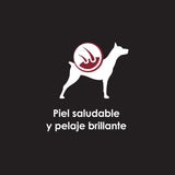 Purina Pro Plan Perro Adulto Lata 368 5Gr Pack 5 Unidades