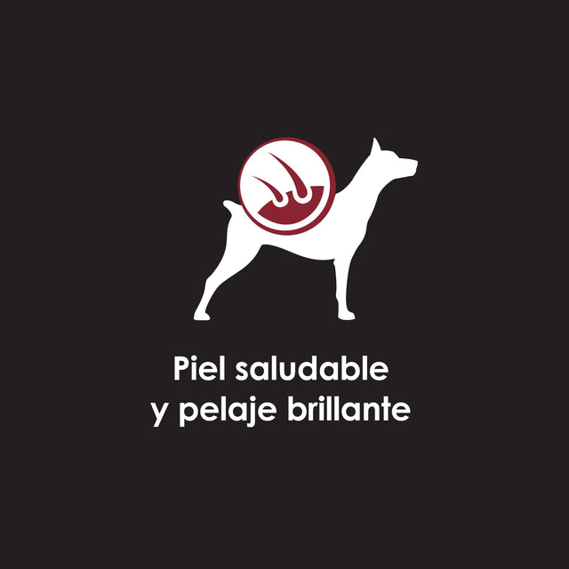 Purina Pro Plan Perro Adulto Lata 368 5Gr Pack 5 Unidades