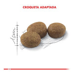 Royal Canin Cat Adult Sterilised 400Gr