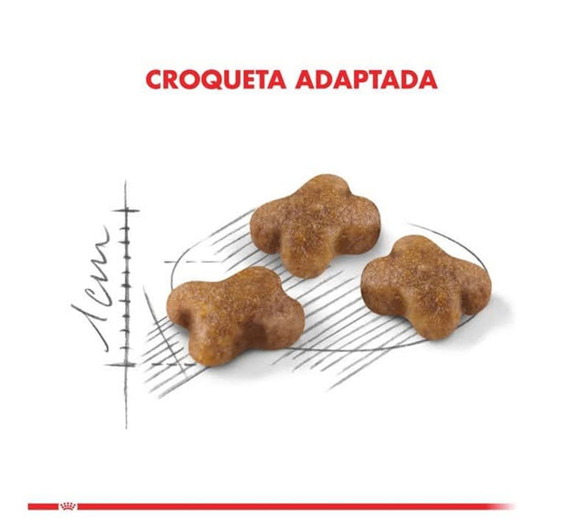  Royal Canin Kitten 400Gr
