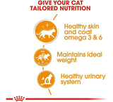 Royal Canin Gato Adulto Intense Beauty Pouch 85Gr X 12 Unidades