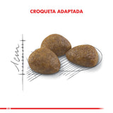 Royal Canin Gato Active 7 1 5Kg