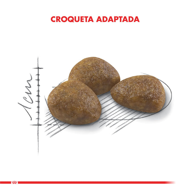Royal Canin Gato Active 7 1 5Kg