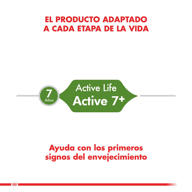 Royal Canin Gato Active 7 1 5Kg