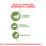 Royal Canin Gato Active 7 1 5Kg