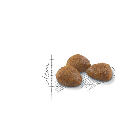 Royal Canin Gato Active 7 1 5Kg