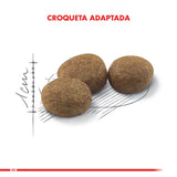 Royal Canin Gato Adult Sterilised 1 5Kg