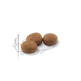 Royal Canin Gato Adult Sterilised 1 5Kg