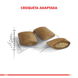 Royal Canin Ageing 12 Anos 2Kg