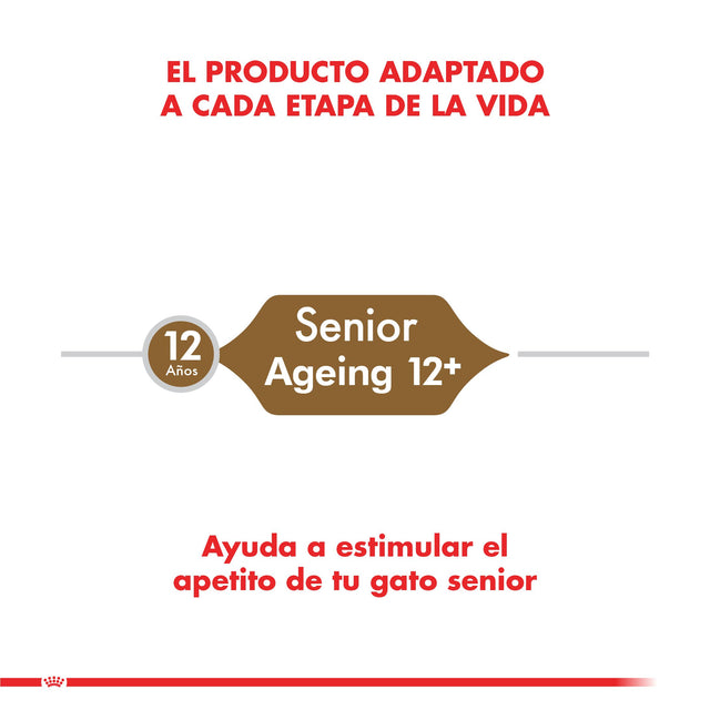 Royal Canin Ageing 12 Anos 2Kg