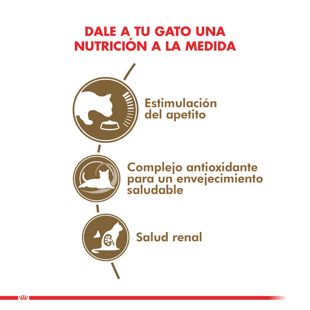 Royal Canin Ageing 12 Anos 2Kg