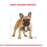 Royal Canin Bulldog Frances Adulto 7 5Kg