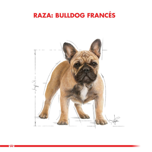 Royal Canin Bulldog Frances Adulto 7 5Kg