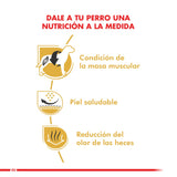  Royal Canin Bulldog Frances Adulto 3Kg