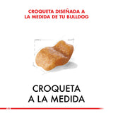  Royal Canin Bulldog Ingles Adulto 12Kg