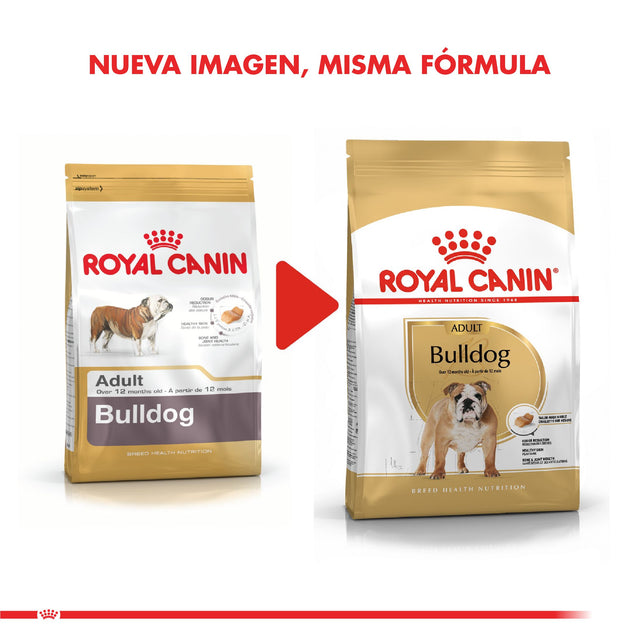  Royal Canin Bulldog Ingles Adulto 12Kg