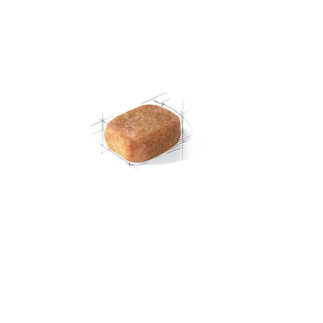 Royal Canin Chihuahua Adulto 1Kg 4 Royal Canin Chihuahua Adulto Pouch 85Gr