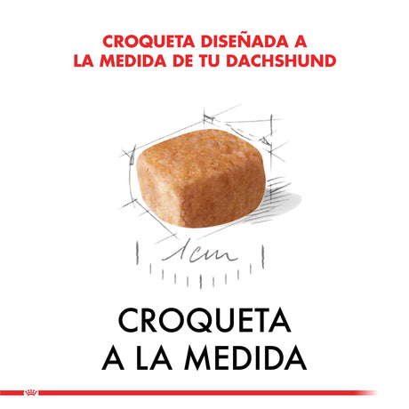 Royal Canin Dachshund Teckel Junior 2 5Kg