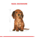 Royal Canin Dachshund Teckel Junior 2 5Kg