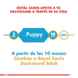Royal Canin Dachshund Teckel Junior 2 5Kg