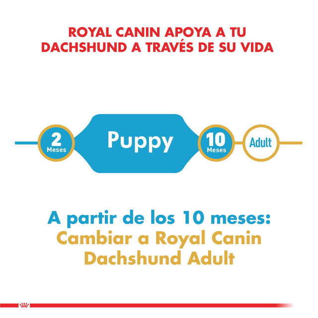 Royal Canin Dachshund Teckel Junior 2 5Kg
