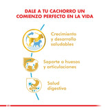 Royal Canin Dachshund Teckel Junior 2 5Kg