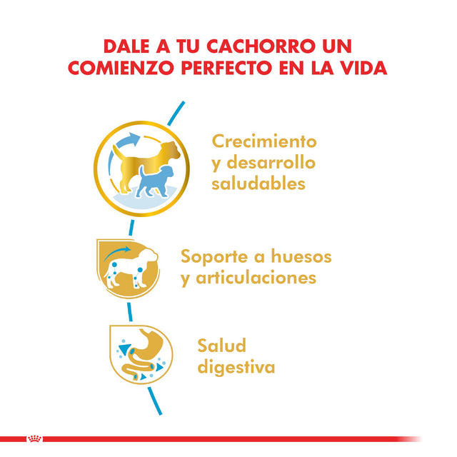 Royal Canin Dachshund Teckel Junior 2 5Kg