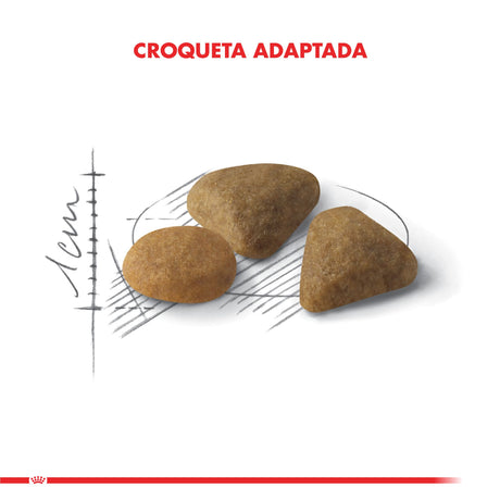 Royal Canin Exigent 1 5Kg