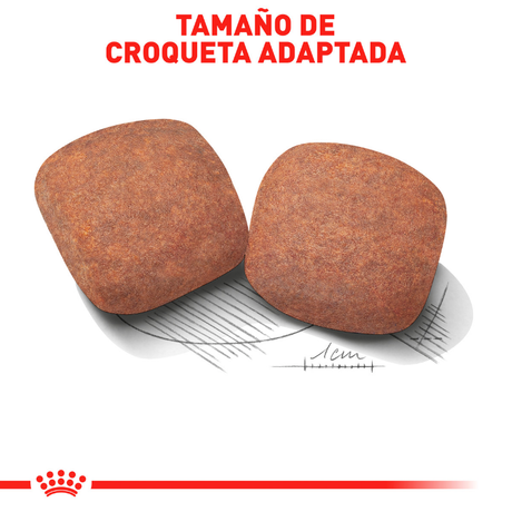 Royal Canin Giant Adulto 15Kg