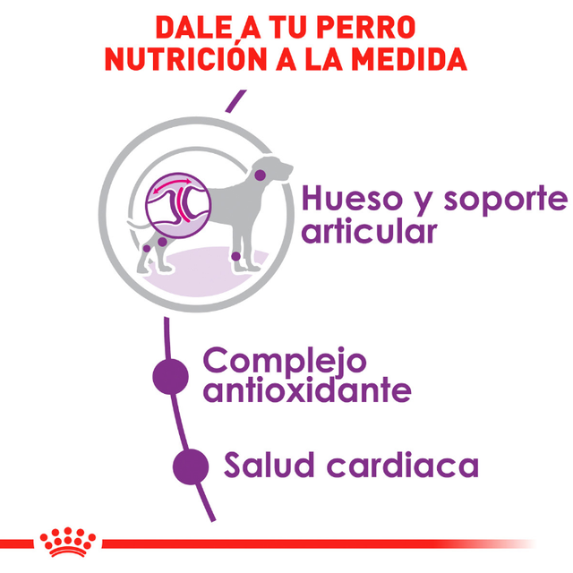  Royal Canin Giant Adulto 15Kg