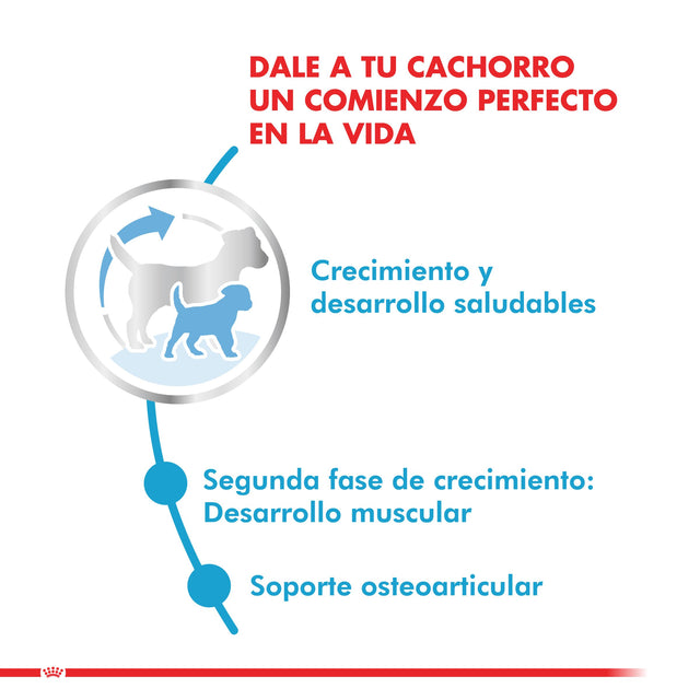  Royal Canin Giant Junior 15Kg