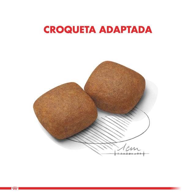  Royal Canin Giant Junior 15Kg