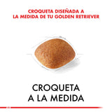  Royal Canin Golden Retriever Adulto 12Kg
