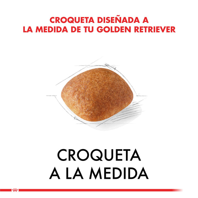  Royal Canin Golden Retriever Adulto 12Kg