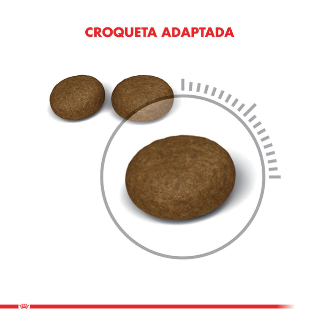 Royal Canin Hair And Skin 1 5Kg