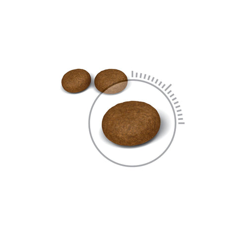 Royal Canin Hair And Skin 2Kg
